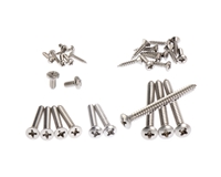 Screw Set for Strat Tele in Natural Stainless Steel