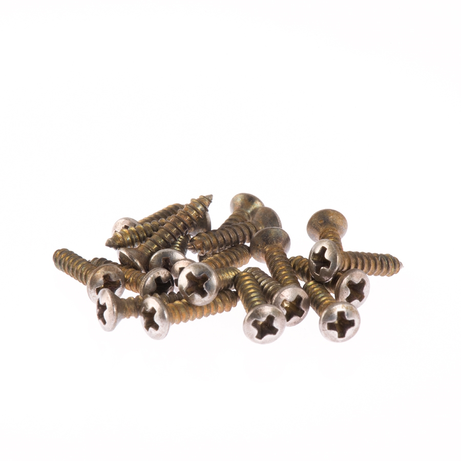 Aged Strat/Tele Pickguard Screws Charles Guitars