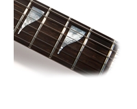 J1 Gold Top Standard Plus