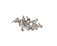 Pickguard Screws in Natural Stainless Steel