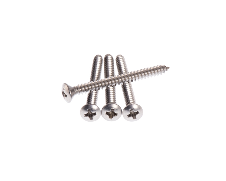 Neck Plate Screws in Stainless Steel