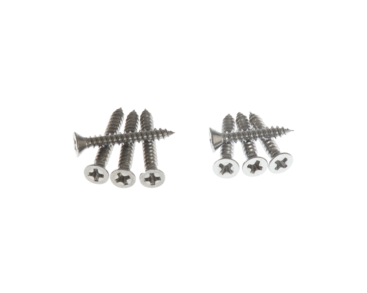 Humbucker Ring Surround Screws in Natural Stainless Steel