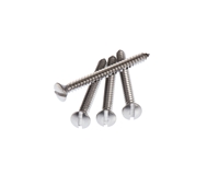 Neck Plate Screws Slotted in Natural Stainless Steel