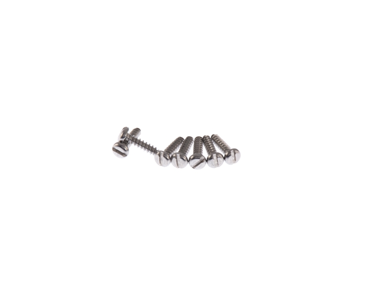 Tuning Machine Screws in Natural Stainless Steel Slotted