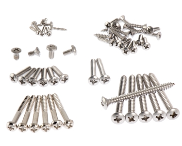 screws strat tremolo set