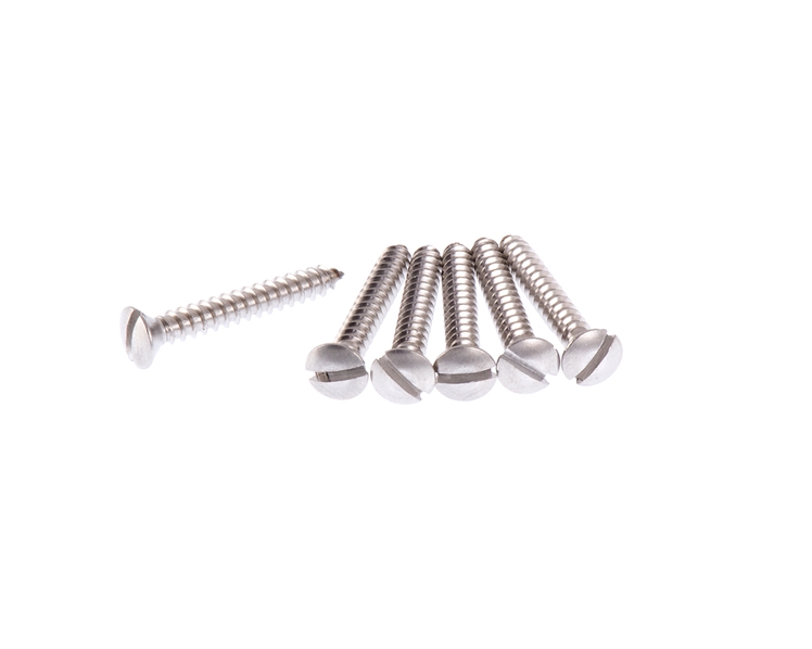 Tele Bridge Screws in Natural Stainless Steel Slotted