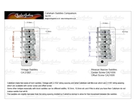 Callaham Premium Upgrade Kit, Mexican Std. Strat