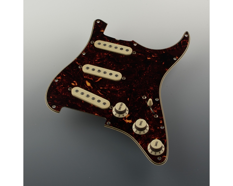 Pre-Wired Vintage Relic Brown Tortoise Pickguard