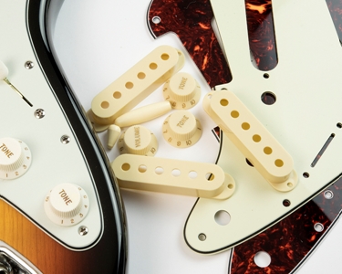 Strat_Plastic_Hardware_1_750x600.jpg