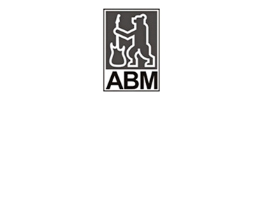  ABM Guitars 750x600.jpg