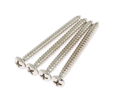 Neck Plate Screws in Nickel Plate 2"