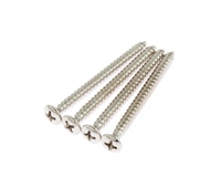 Neck Plate Screws in Nickel Plate 2"