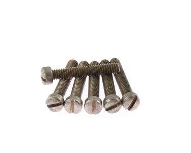 Vintage Relic De-Shined Humbucker Pole Screws Slotted