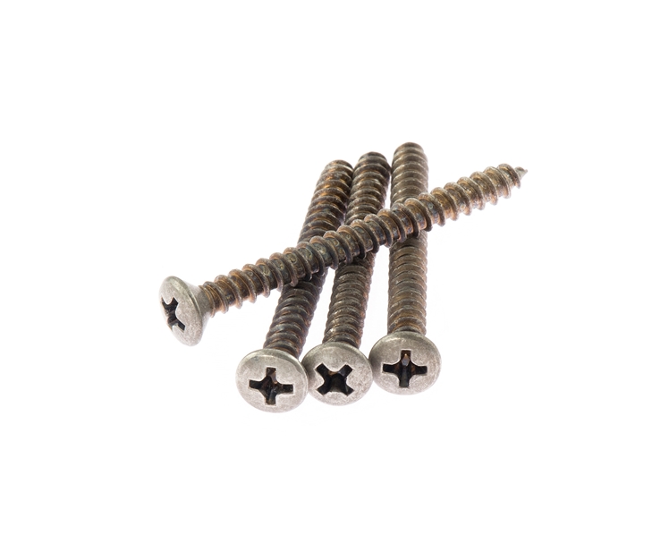 Vintage Relic De-Shined Neckplate Screws