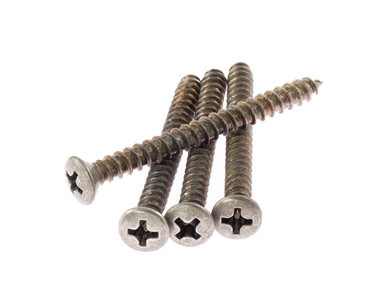 Vintage Relic De-Shined Neckplate Screws