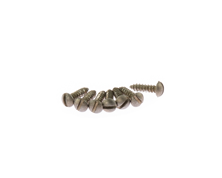 Vintage Relic De-Shined Tuning Machine Screws Slot