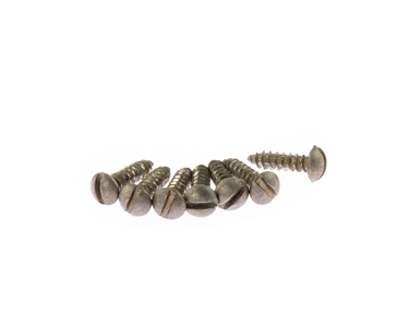 Vintage Relic De-Shined Tuning Machine Screws Slot