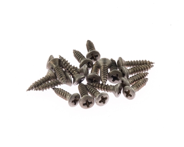 Vintage Relic De Shined F Type Pickguard Screws