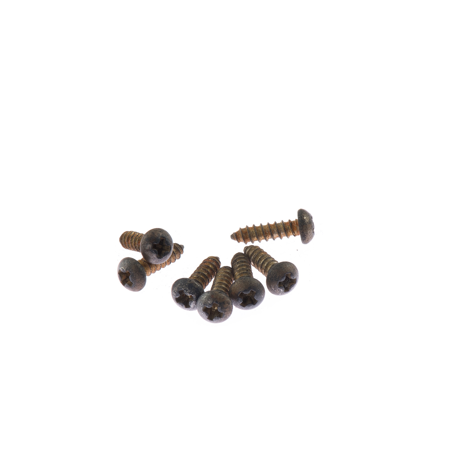 Vintage Relic EX Tuning Machine Screws Slot Charles Guitars