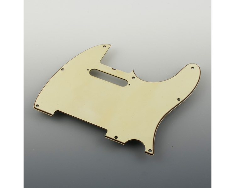 Vintage Relic Aged T Type 60's Mint Green Wide Bevel Pickguard 8 Hole Top Pickup Adjust